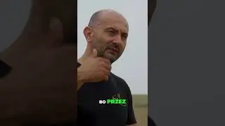 Uprawa rzepaku: Jak osiągnąć wysokie plony i dobre zyski?