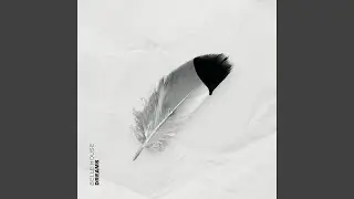 Dreams