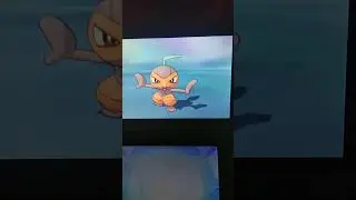 Shiny Nuzleaf in Ultra moon!!! #pokemon #usum #bdsp #lucky #shiny subscribe for more!