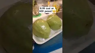Price of GUAVA...😘 #youtubeshorts #shorts #short #shortvideo #price #guava #expensive