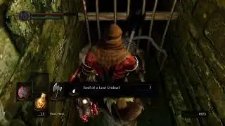 Soulspain Pt 2 - First time DS1 player tracks souls loss (-117)