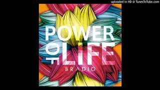 Flash Light Baby - Bradio