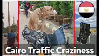 Top 10 Cairo Traffic Craziness - DANGEROUS, CRAZY, BIZARRE, FUNNY, IMPRESSIVE