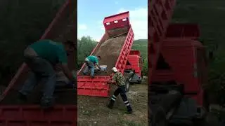 Заливка цементом площадки возле дома