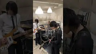 Reptilia - The Strokes #guitar #cover #guitarcover bass #bassist #pop #rock #indie #garagerock