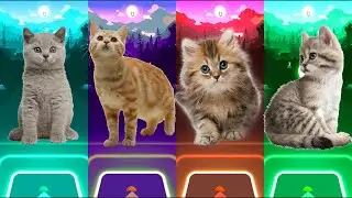 Cute cats | Tiles Hop | Tiles Hop edm rush