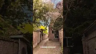 Middelburg - a hidden gem in the Netherlands.