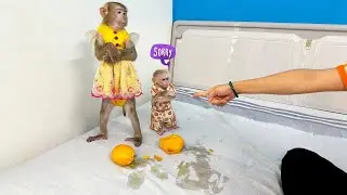 Обезьянка Кака и Обезьянка Мит принесли в постель фрукты, чем рассердили свою маму.