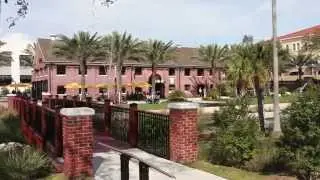 Domain Homes Tampa Heights   2
