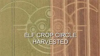 Elf Crop Circle Harvested