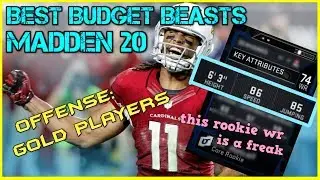 Madden 20 Budget Beasts: The Best Gold Offensive Players | MUT 20 Tips