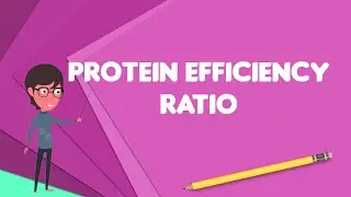 What is Protein efficiency ratio?, Explain Protein efficiency ratio, Define Protein efficiency ratio