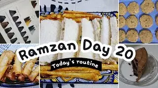 Ramzan Day 20 || Busy Routine Today || Hair Color Upgrade