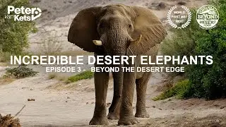 Ep.3 | The Incredible Desert Elephants | Beyond the Desert Edge 2018 | Peter van Kets