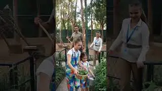 cleaning and maintenance of our private zoo