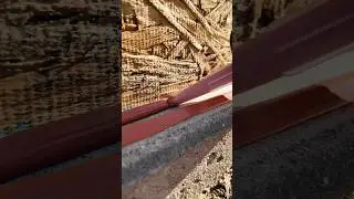 Sealing Bottom Plate Framing - Typar Liquid Flash #shorts #typar #liquidflash #wrb #flashing