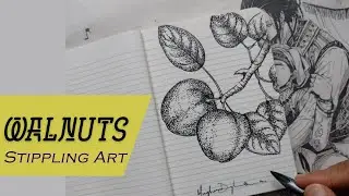Pen Stippling Art --  Drawing WALNUTS #nirankar #stipplingart #blackwork #inkdrawing