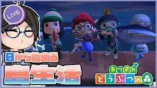 【朝活 あつ森 】0から始める島生活～今度こそ離島ガチャ→9人目～ vol.11【VTuber】