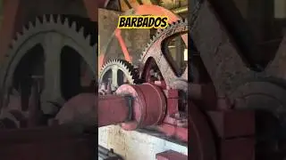 Barbados Sugar Cane Rum Distillery ✨ St Nicholas Abbey ✨ #shorts #travel #rum