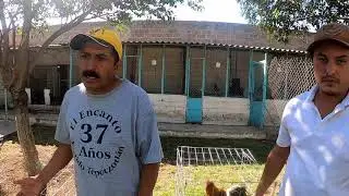 Marcos kviat criadero el encantó partido de tepozotlan