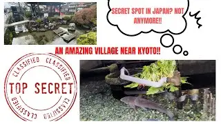 Japan Travel : Amazing village in Harie, Shiga, JAPAN near Kyoto!! NOVEMBER 2022