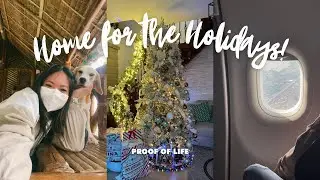 PROOF OF LIFE: Going home for Christmas ✨🎄 (short vlog) | Zoé