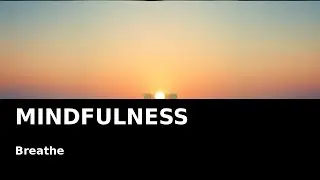 Mindfulness Music 🧘 | Unwind & Let Go | Insomnia Music Lab
