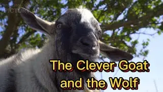The Clever Goat and the Wolf: A Moral Story for Kids