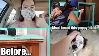 DIY WRITING DESK & I FOUND A PUPPERONI // let's chat (author websites, project purple, creatortube)