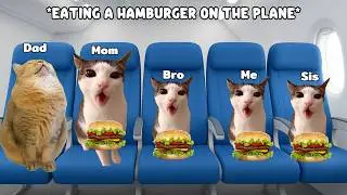 CAT MEMES: Roatrip to Norway