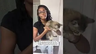 The young lady wasn&rsquo;t ready for a kitten,but the cat distribution system didn&rsquo;t think so #kitten