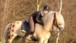 Horse Riding - Musicvideo