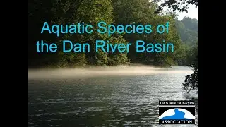 Aquatic Species of the Dan River Basin