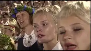 put vejini