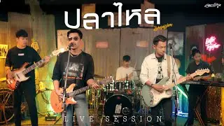 ปลาไหล - คณะเอวีรูม (Live session) | Original : ธันวา ราศีธนู 4K