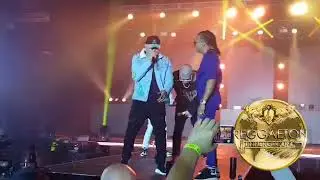 Bad Bunny Ft  Ozuna Nio Garcia y Darell   Te Boté Live Puerto Rico Concierto TRAPKINGZ