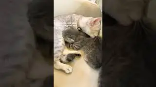 ￼￼ Keşke b&uuml;t&uuml;n annelerde bu evlat sevgisi olsa