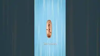 Dropping A Penny From A Skyscraper 😯