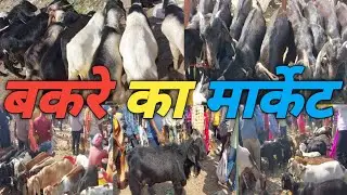😳 बकरे का बाजार || 🐏🐐 बकरा ही बकरा 🐑|| Hutti Bazaar ,giridih jharkhand