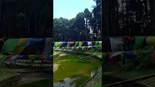 Lamahatta | Darjeeling | Offbeat Darjeeling | My Travel | Short Video