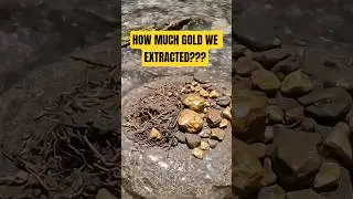 Accidentally Found Raw Gold in a Shallow River