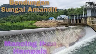 Mancing Ikan Hampala di Bendungan Sungai Amandit Kalimantan Selatan