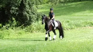 For Sale: Grand Amour ISF (Tjalbert 460 x Teade 392, Sport) Hacking Out, 2025