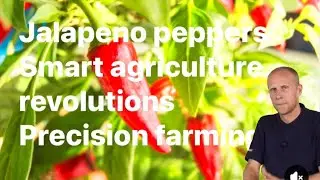 &ldquo;Smart Agriculture Revolution: Precision Planting Guide for Jalape&ntilde;o Peppers&rdquo;