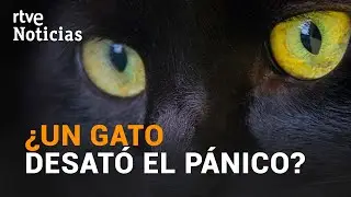 La PANTERA de GRANADA podría ser un GATO según las últimas FOTOGRAFÍAS | RTVE