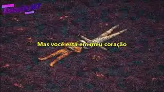 Ashton Edminster - Break The Distance  [Tradu&ccedil;&atilde;o]