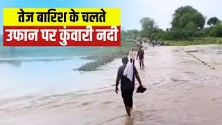 Morena News : तेज बारिश के चलते उफान पर कुंवारी नदी | जान जोखिम में डालकर निकल रहे लोग