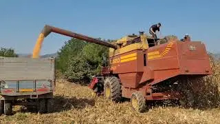 HASAT BAŞLADI! - DANELİK MISIR BİÇİMİ - NEW HOLLAND BİÇER DÖVER