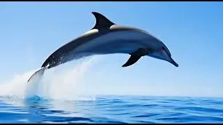 Ultimate Nature in HDR 8K | World&rsquo;s Most Beautiful Scenes