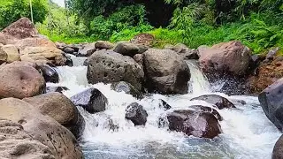 Roaring River Stream Through Giant Jungle Boulders | Intense Nature Sounds for Pure Mental Focus